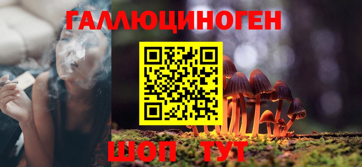 Обь  Галлюциногенные грибы мухоморы  Вход с VPN 